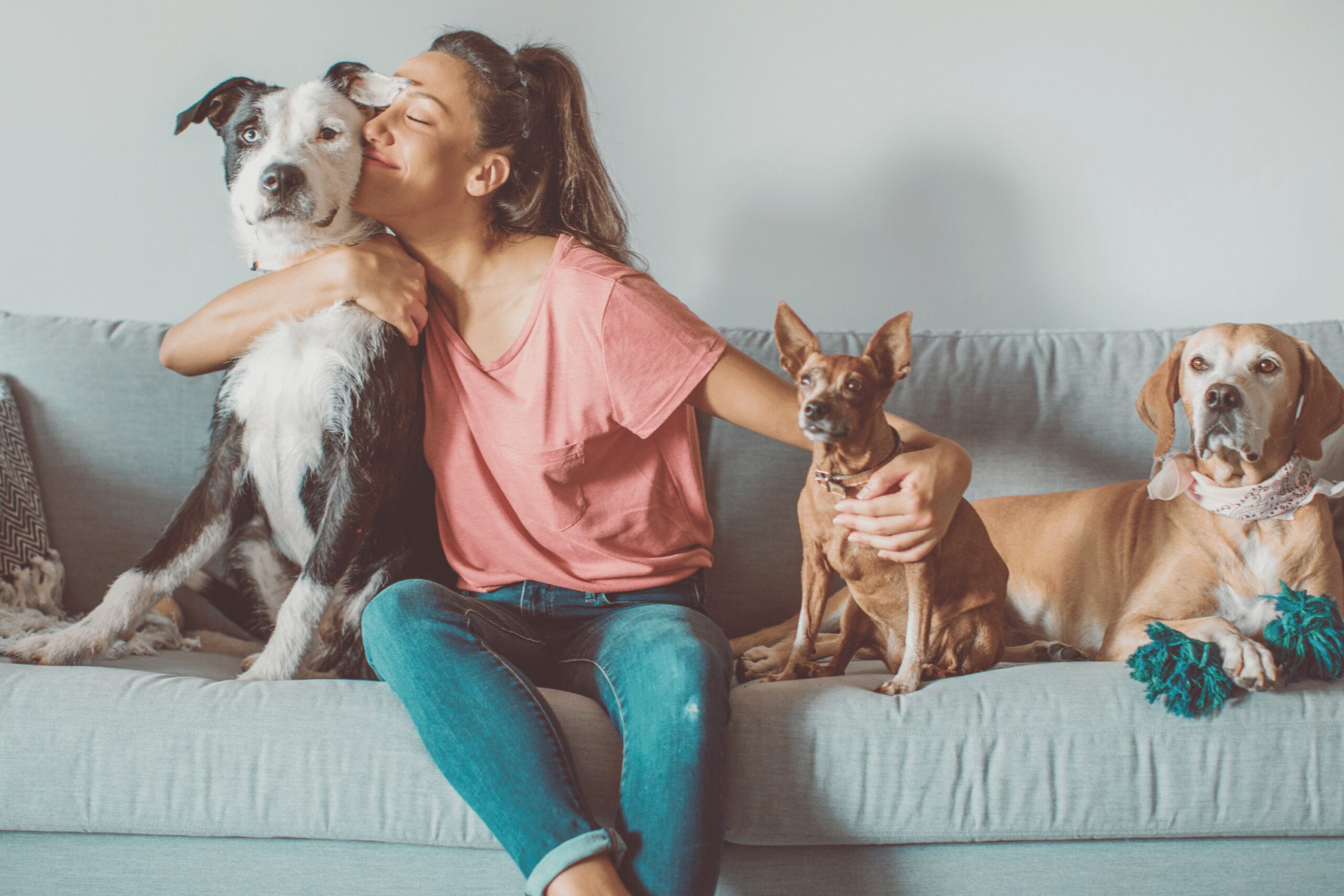 Edmonton dog mom hugging her three dogs on a couch