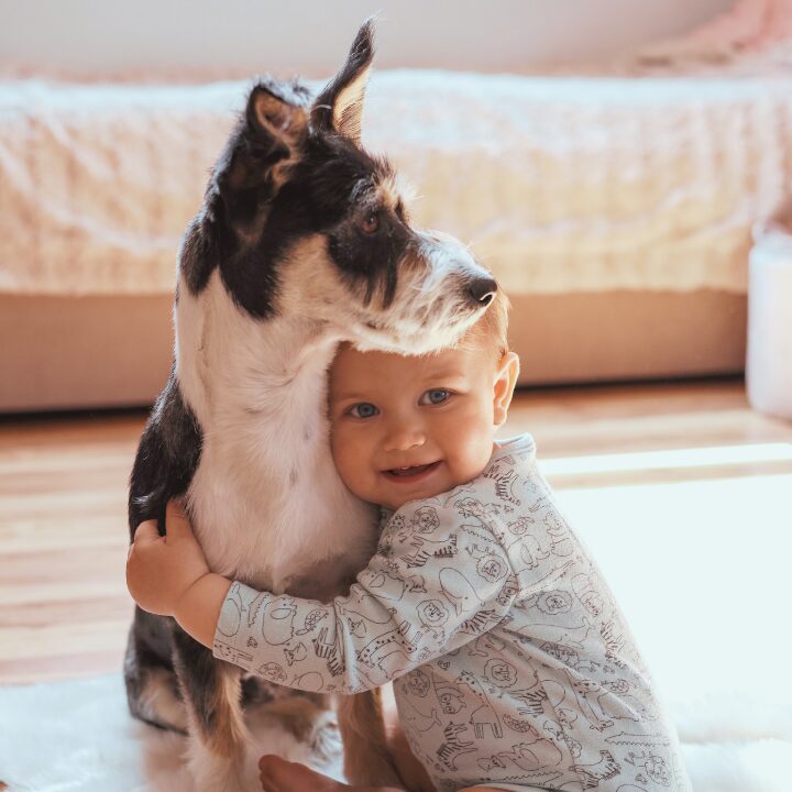 A baby and a dog cuddling on a freshly cleaned hardwood floor in an Edmonton home